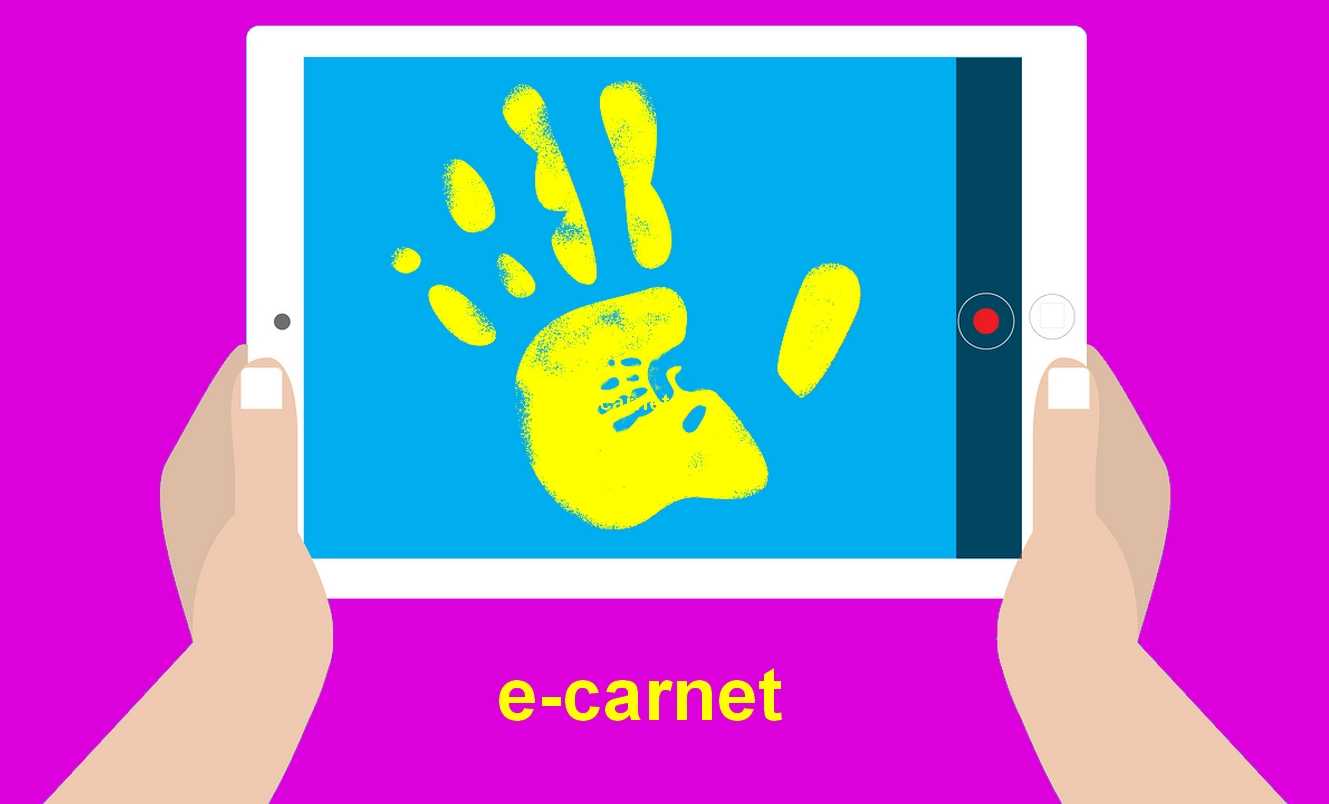 L'e-carnet-maternelle, carnet numérique de suivi des apprentissages en  cycle 1 mais pas que… - Ludomag