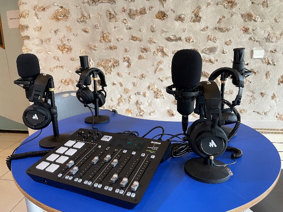 Microphone professionnel de studio radio webradio 